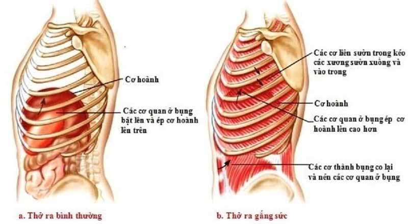 Bị nấc cụt thường xuyên trong ngày có nguy hiểm không? 7 Khi nào nấc cụt là cảnh báo bệnh lý?