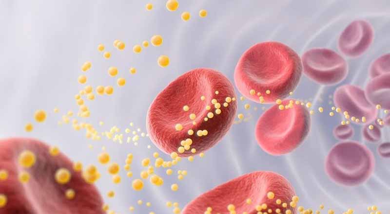 Rối loạn lipid máu: Hướng dẫn chẩn đoán và điều trị 16 Kiểm soát mỡ máu để sống khỏe mỗi ngày