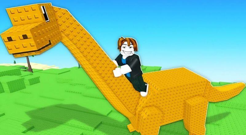 Lưu Ý Quan Trọng Khi Nhập Code Catch and Tame