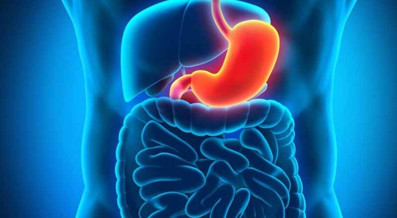 Nguyên tắc dinh dưỡng vàng cho người bệnh dạ dày