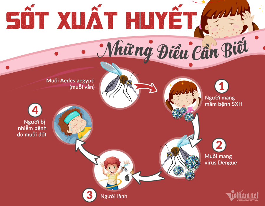 Phòng tránh bệnh truyền nhiễm sốt xuất huyết như thế nào?