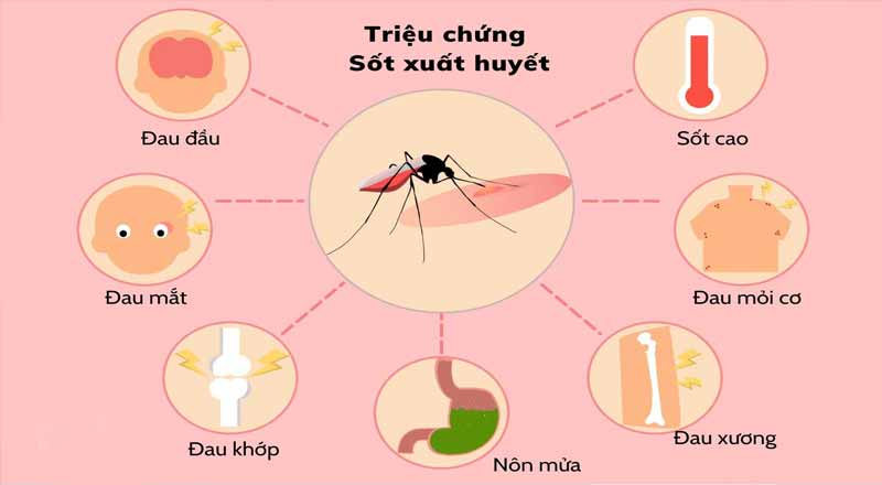 Tìm hiểu cơ chế lây lan của sốt xuất huyết