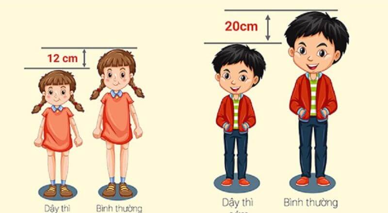 Trẻ có dấu hiệu dậy thì sớm, phụ huynh cần làm gì?