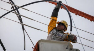 Công nhân Điện lực TP HCM đang sửa chữa điện trên đường dây 22kV tại khu chế xuất Tân Thuận