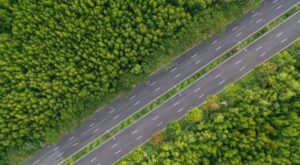 Góc nhìn Đường Rừng Sác từ trên cao